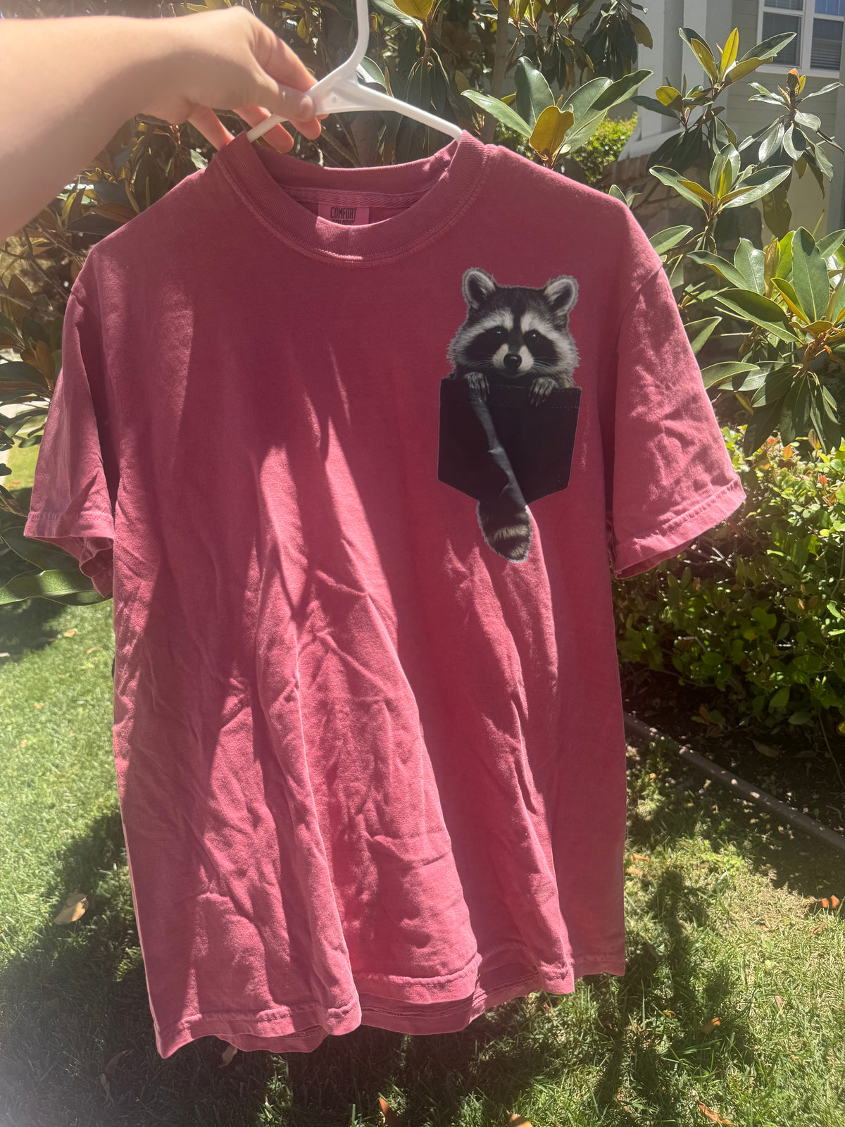 Raccoon Friend