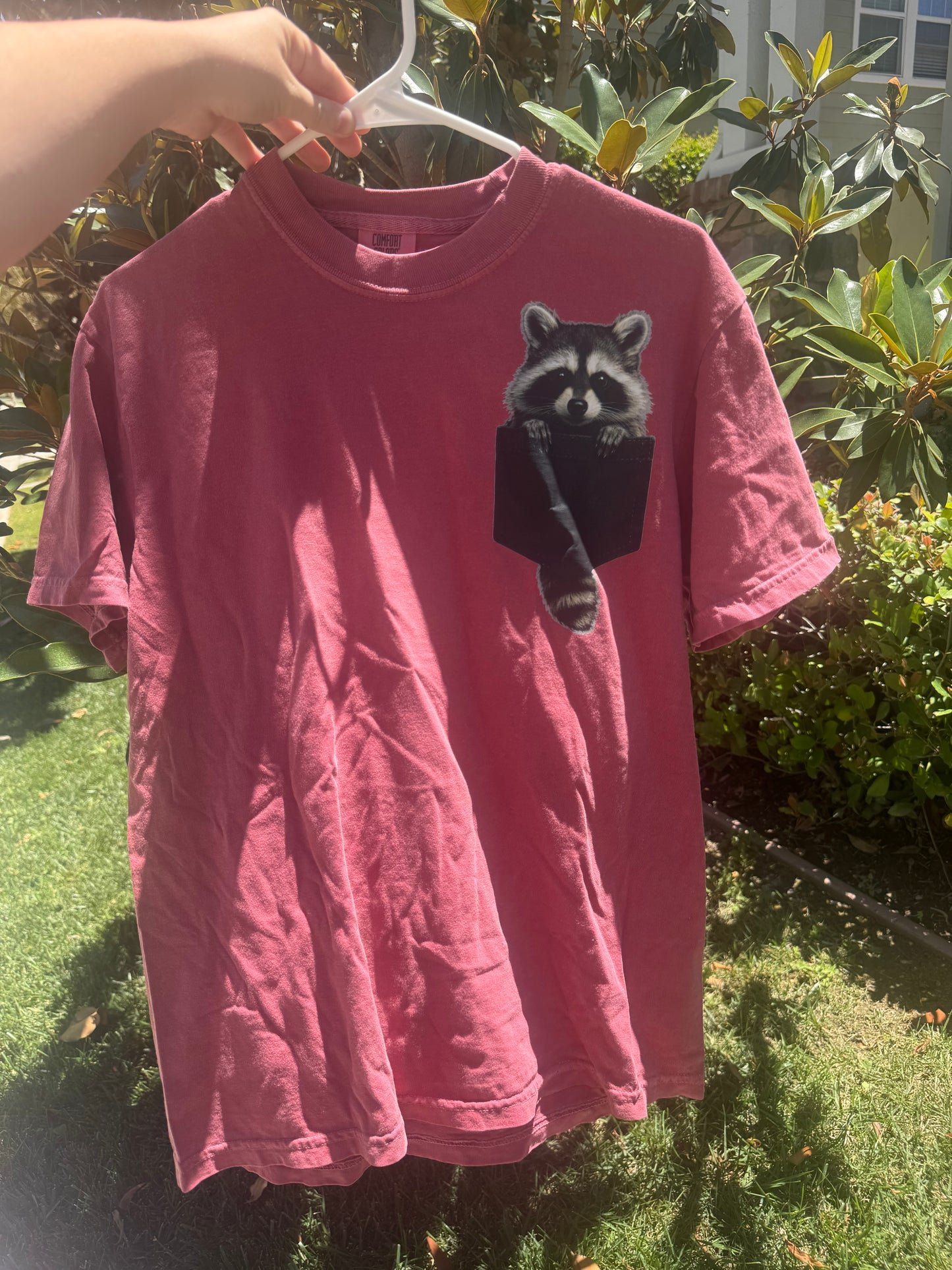 Raccoon friend