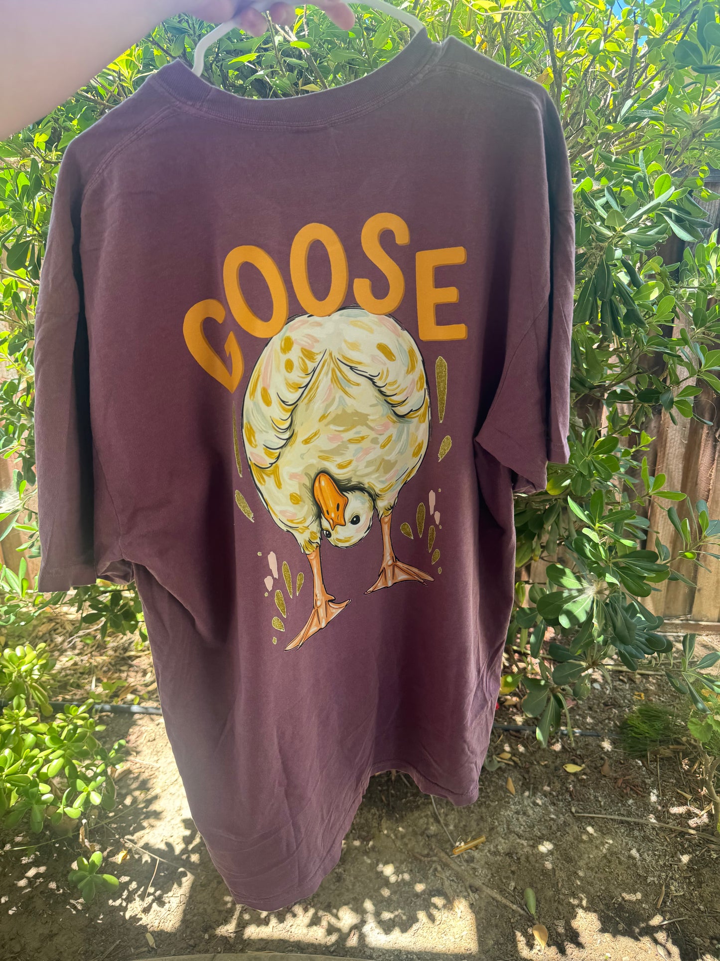 Duck duck goose