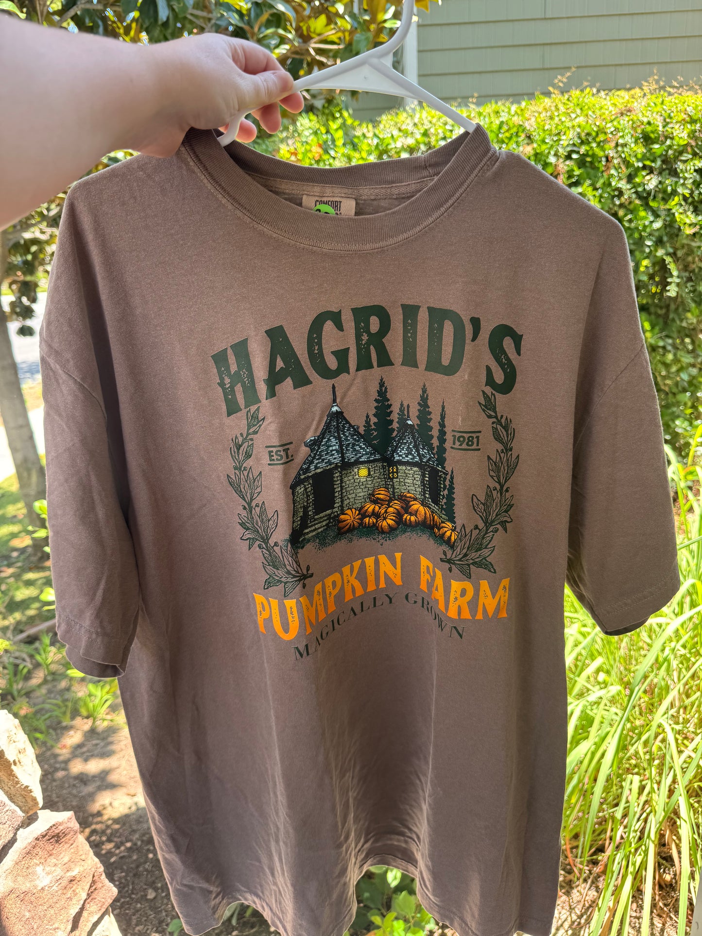 Hagrids pumpkin farm