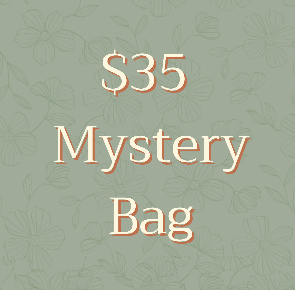 MYSTERY BAG - $35