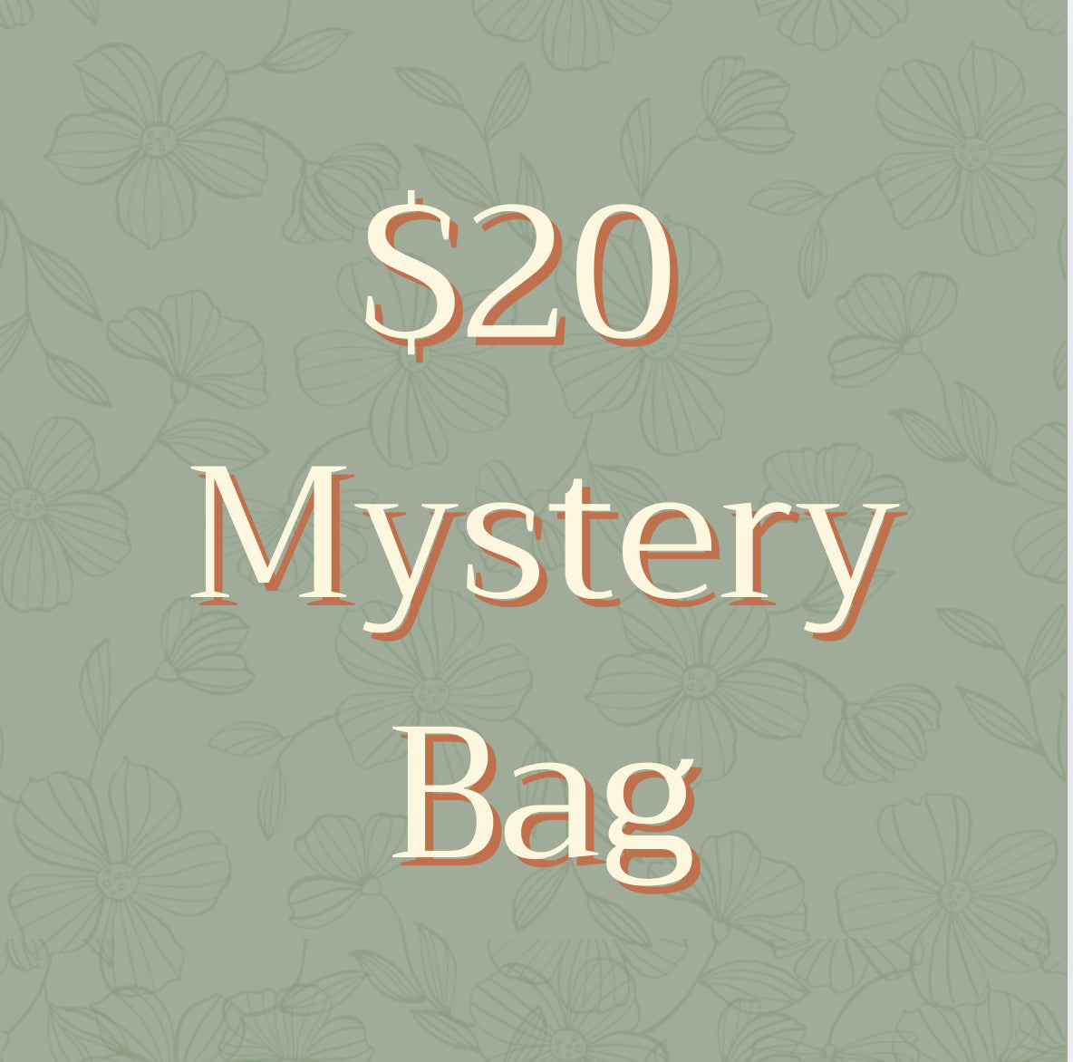 Mystery Bag - $20