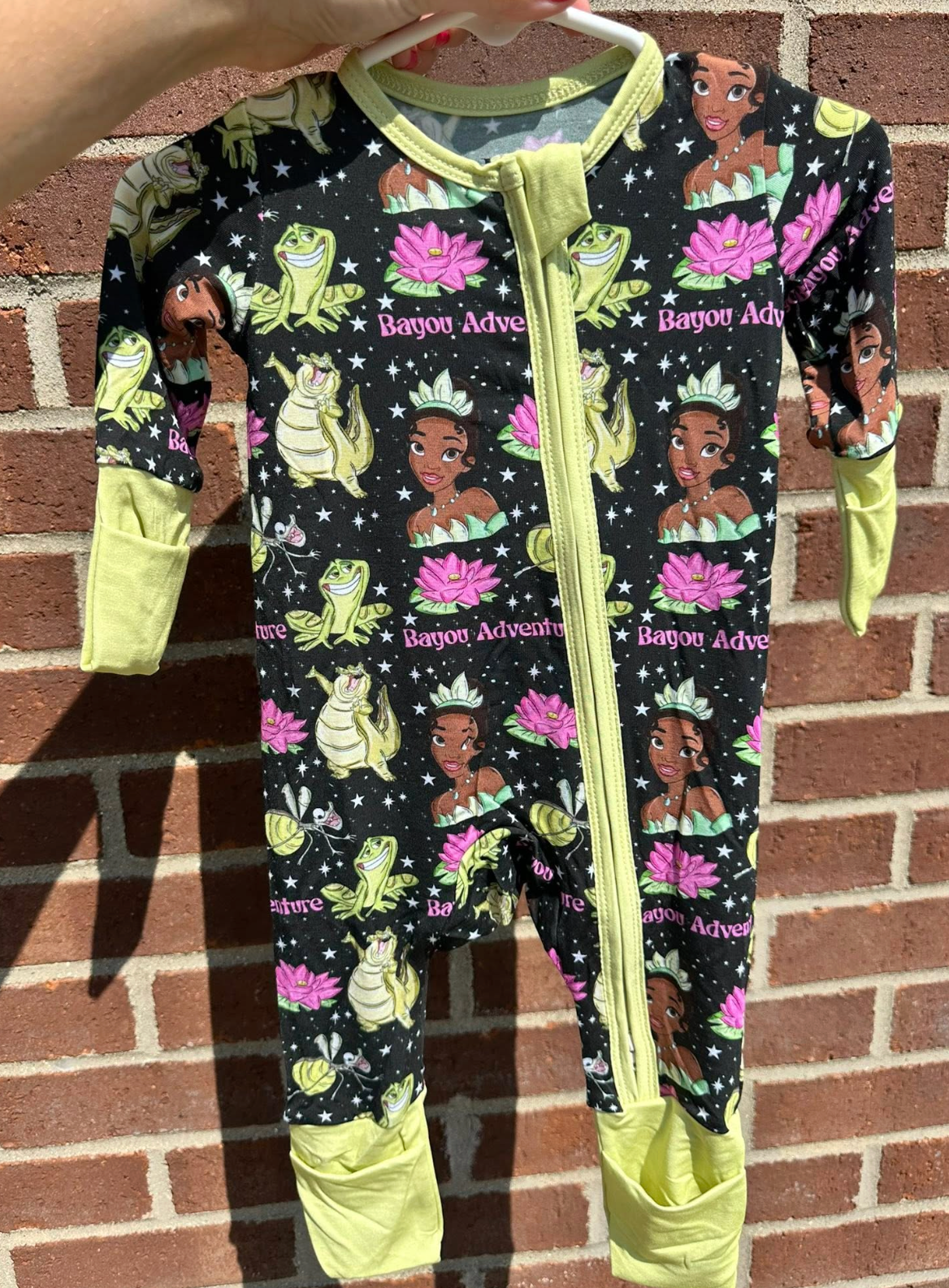 Frog in the Bayou SET